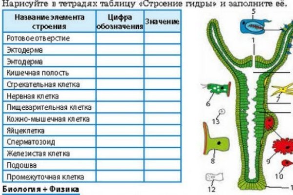 Vk8 at кракен