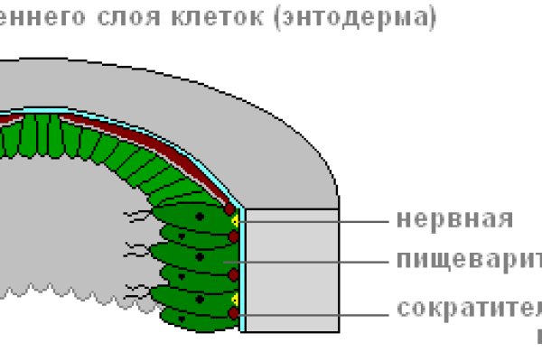 Кракен 17 рабочая ссылка